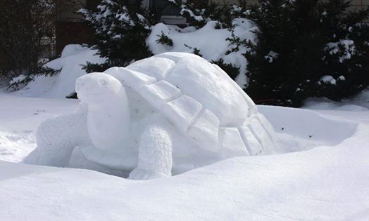 CALENDRIER HIVER 2026